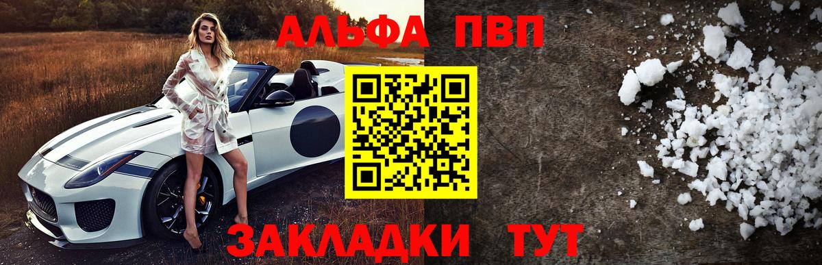 Alfa_PVP СК КРИС Энгельс