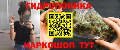 прущие крисы Можга