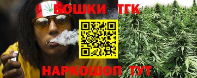прущие крисы Можга