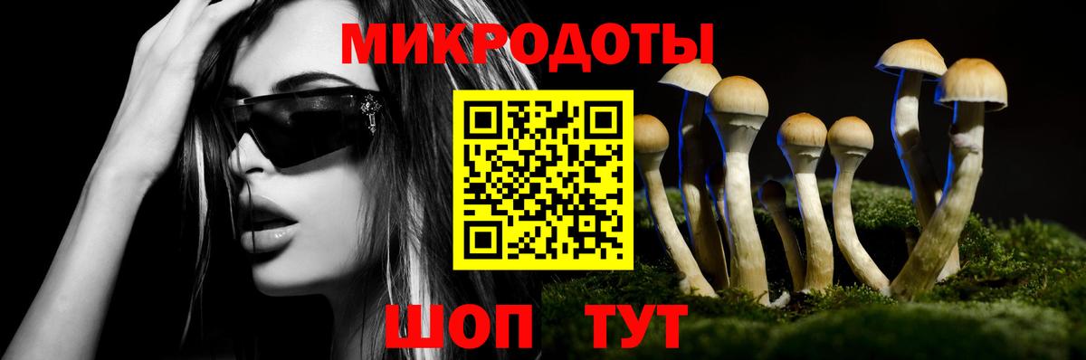 Энгельс  Галлюциногенные грибы Psilocybe  закладка  Галлюциногенные грибы мухоморы  Вход с VPN 